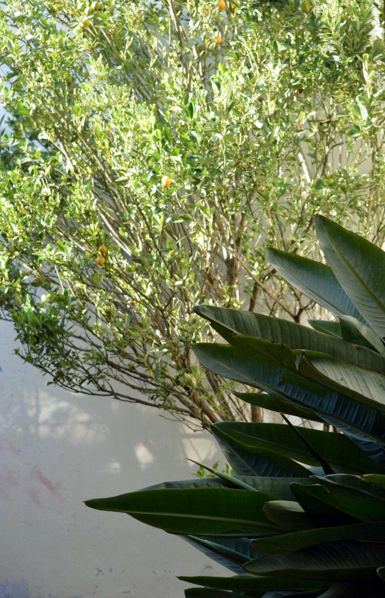 Ave Del Paraiso Guest House Antigua Bagian luar foto